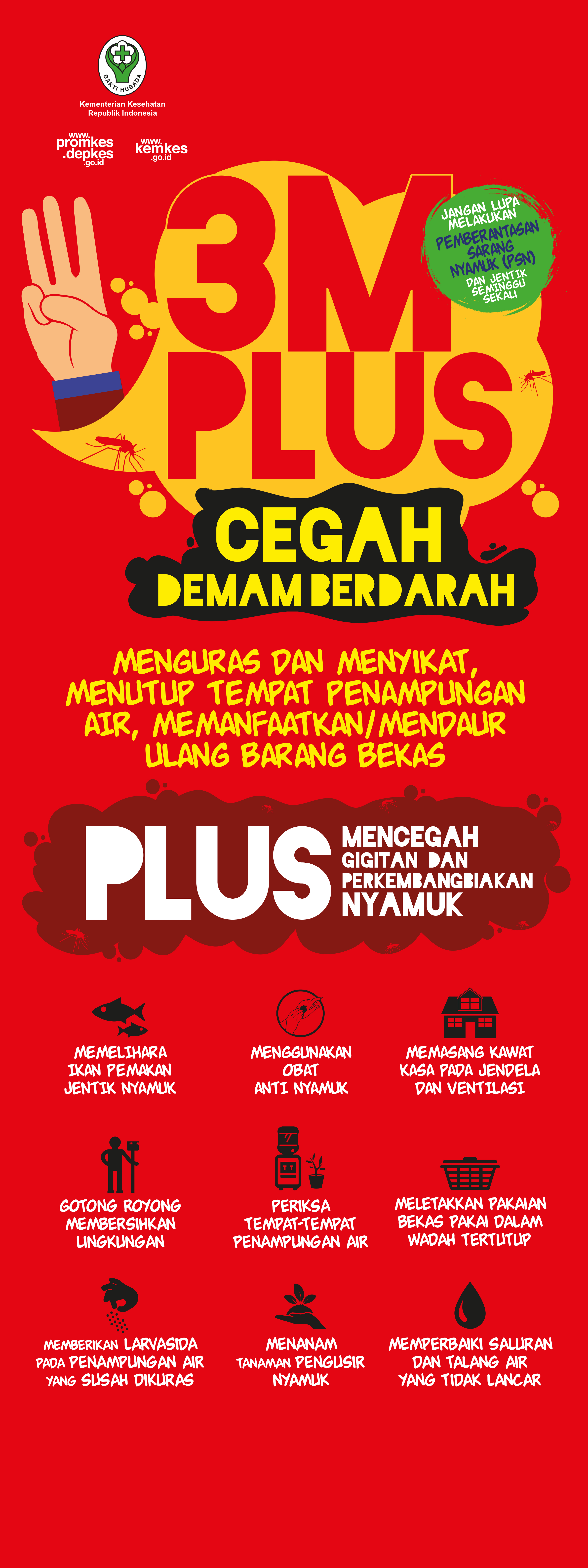 3M Plus